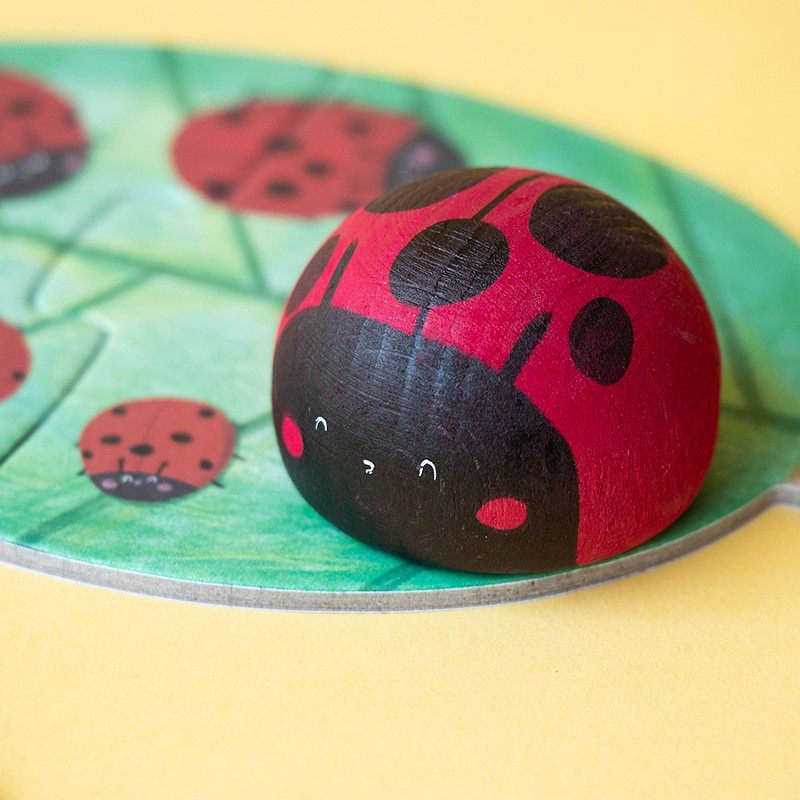 First insect puzzle